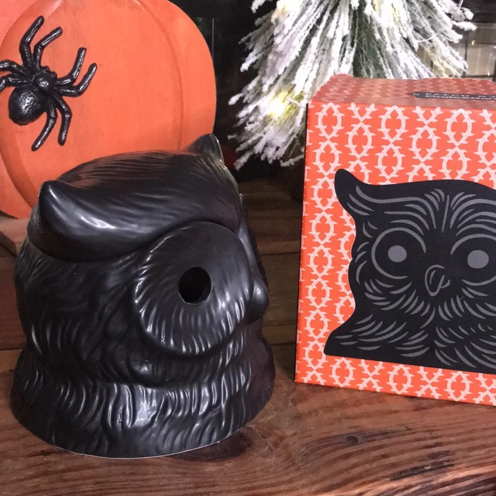 Crate&Barrel X PATCH NYC Collaboration Whimsical Black Owl Incense Burner 🦉
